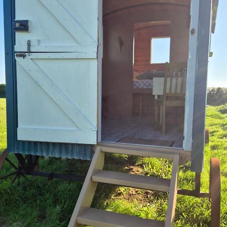 Coast Path Camping Saint Ishmaels  Ngoại thất bức ảnh
